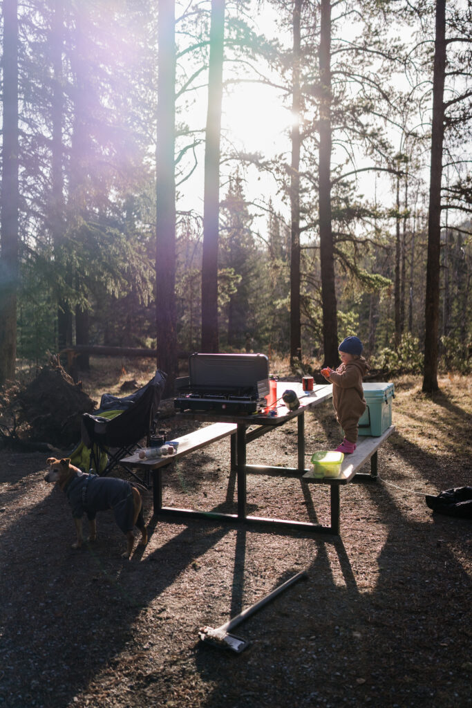 toddler stands on picnic table while the sun comes through the trees over camp